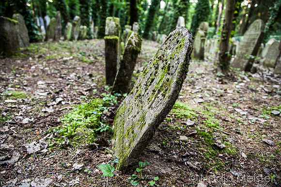 Slavonice & Umgebung_by_Nadja Meister_IMG_1726