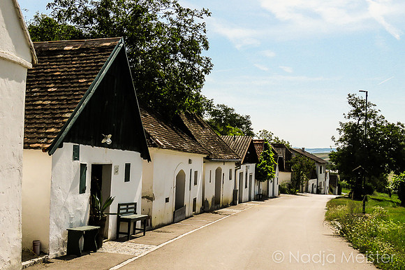 Polt Radweg_by_Nadja Meister_IMG_8416