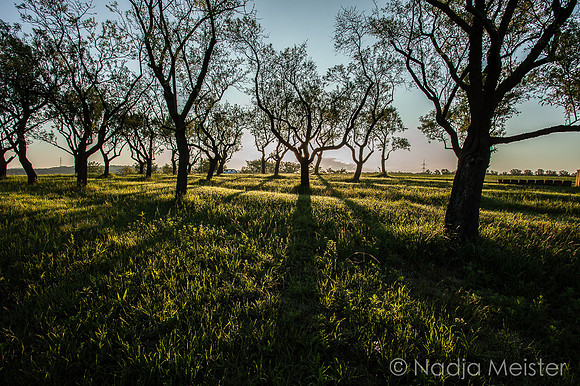 Hustopece_by_Nadja Meister_IMG_9878