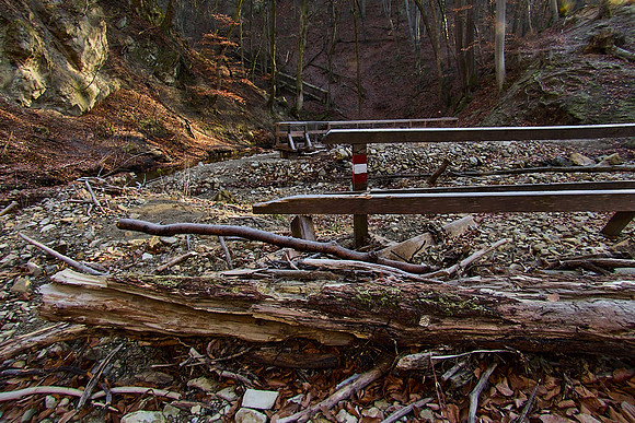 Hagenbachklamm_(c)_Nadja Meister_IMG_1780