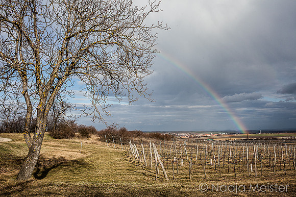 Staatsgrenze_by_Nadja Meister_IMG_7605