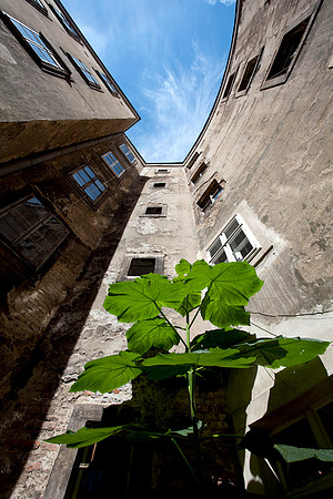 Narrenturm_by Nadja Meister_IMG_1868