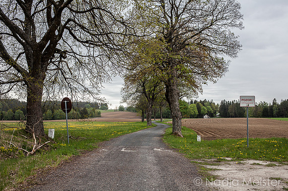 Staatsgrenze_by_Nadja Meister_IMG_2465