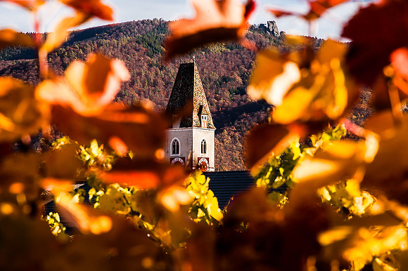 Wachau_Spitz_(c)_Nadja Meister_IMG_0095