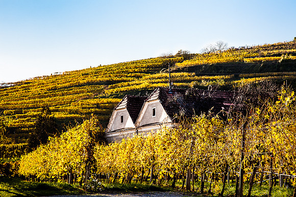 Wachau_Spitz_(c)_Nadja Meister_IMG_0098