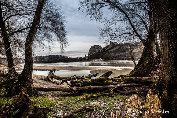 NP Park Donau Auen & Blick auf Devin_(c)_Nadja Meister_IMG_1835