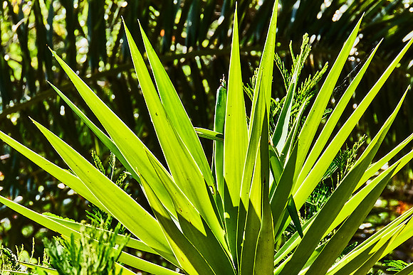 Roquebrun & Orb Valley_(c)_Nadja Meister_IMG_0630