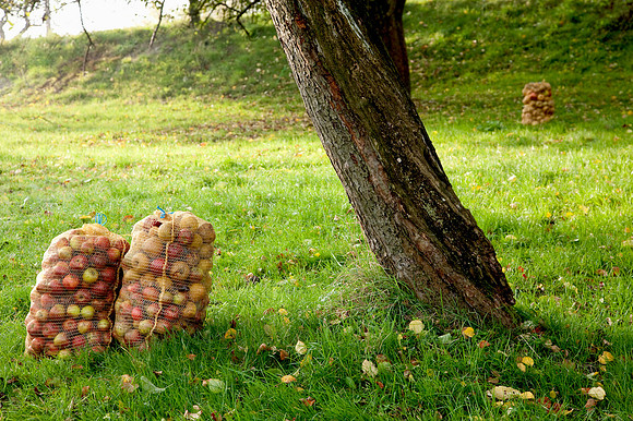 Wienerwald_by Nadja Meister_MG_2763