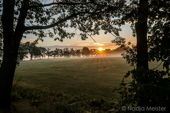 Trebonsko_(c)_Nadja Meister_IMG_0727