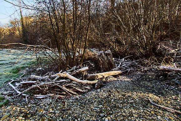 Hagenbachklamm_(c)_Nadja Meister_IMG_1739
