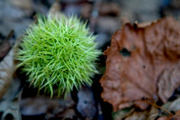 Wienerwald_by Nadja Meister_IMG_9216