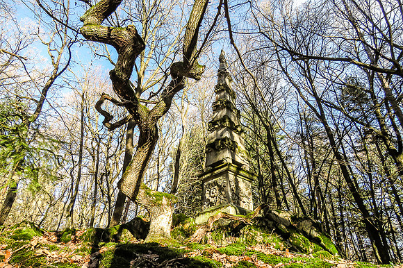 Maissau_(c)_Nadja Meister_IMG_9444