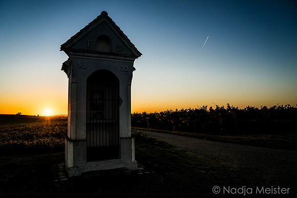 Landpartie WAGRAM & Wegmarken_(c)_Nadja Meister_DSC01559