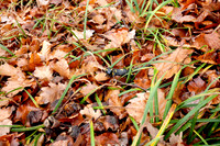 Wienerwald_by Nadja Meister_MG_1185