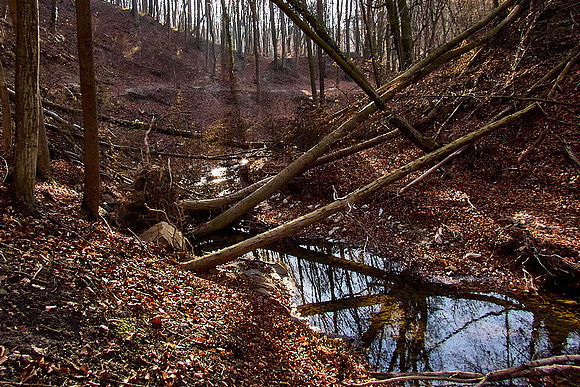 Hagenbachklamm_(c)_Nadja Meister_IMG_1819