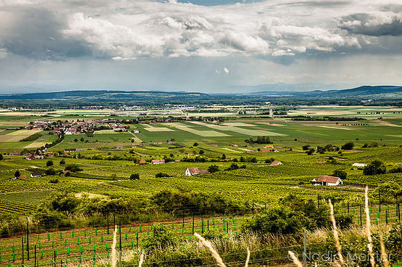Landpartie WAGRAM & Weitblick_(c)_Nadja Meister_IMG_2701