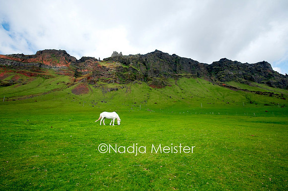 Archiv_by_Nadja Meister_MG_9974