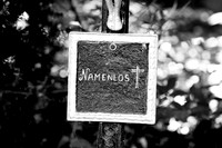 Friedhof der Namenlosen_(c)_Nadja Meister_