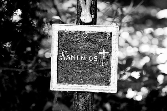 Friedhof der Namenlosen_(c)_Nadja Meister_