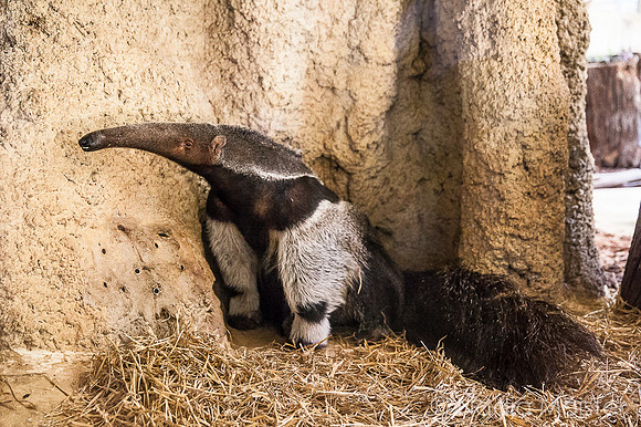 Tierpfleger_(c)_Nadja Meister_IMG_2391