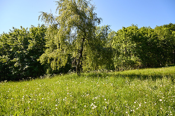 Wanderung Schöpfl_(c)_Nadja Meister_IMG_9327