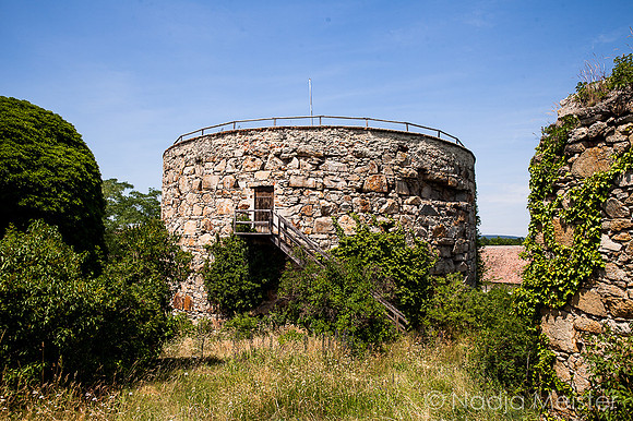 Schloss Schrattenthal_(c)_Nadja Meister_IMG_7998