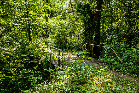 Schloss Schrattenthal_(c)_Nadja Meister_IMG_8108