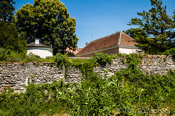 Schloss Schrattenthal_(c)_Nadja Meister_IMG_8114