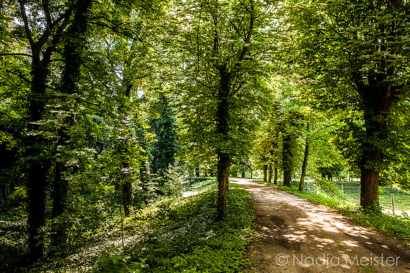 Schloss Schrattenthal_(c)_Nadja Meister_IMG_8266