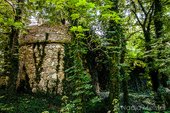 Schloss Schrattenthal_(c)_Nadja Meister_IMG_8272