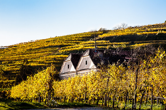 Wachau_Spitz&Umgebung_(c)_Nadja Meister_IMG_0098