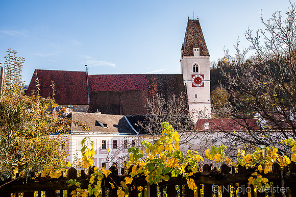 Wachau_Spitz&Umgebung_(c)_Nadja Meister_IMG_0110