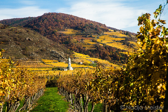 Wachau_Spitz&Umgebung_(c)_Nadja Meister_IMG_9885