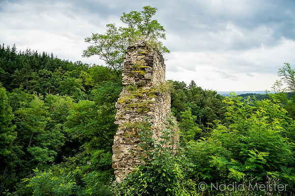 Schönberg am Kamp & Plank am Kamp_(c)_Nadja Meister_DSC00834