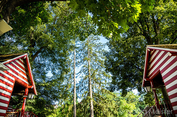 Schönberg am Kamp & Plank am Kamp_(c)_Nadja Meister_DSC00873