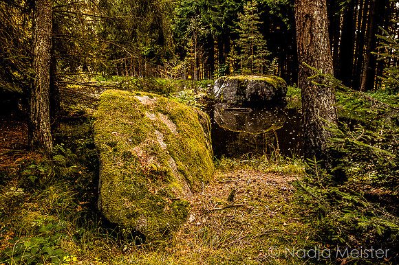 Illmanns_(c)_Nadja Meister_IMG_9873
