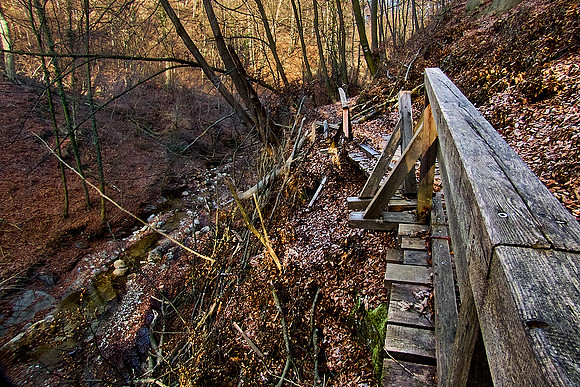 Hagenbachklamm_(c)_Nadja Meister_IMG_1790
