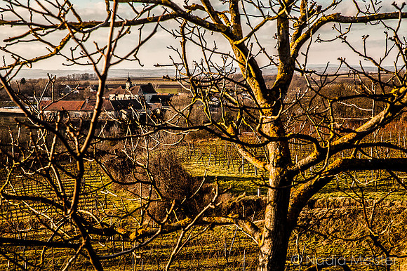 Landpartie WAGRAM_Mittelstockstall_(c)_Nadja Meister_IMG_9605