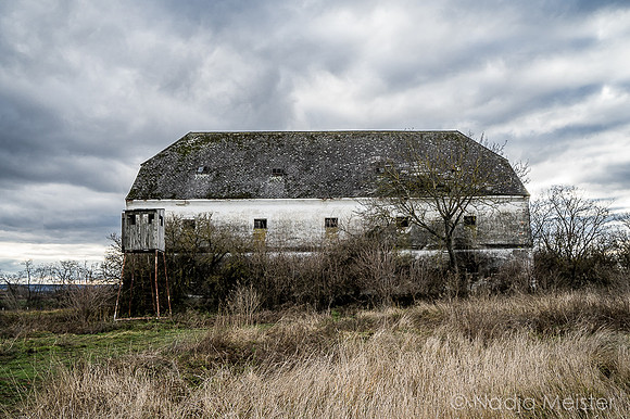 Einsam_(c)_Nadja Meister_DSC01723