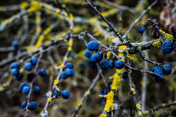 Einsam_(c)_Nadja Meister_DSC01731