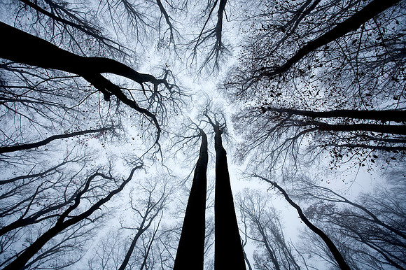 Wienerwald_by Nadja Meister_MG_1231