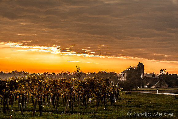 Landpartie WAGRAM & Weitblick_(c)_Nadja Meister_IMG_6561