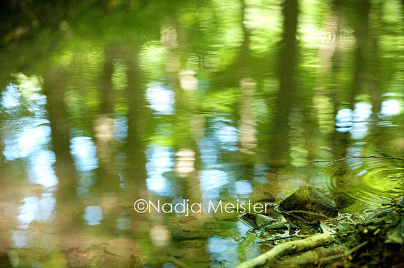 Archiv_by_Nadja Meister_IMG_1827