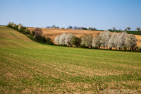 Kulturlandschaft_by_Nadja MeisterIMG_6701