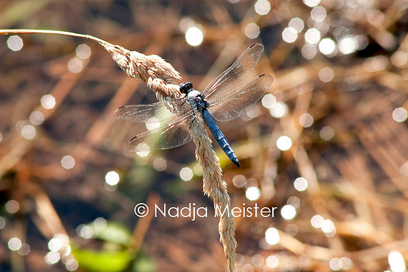 Archiv_by_Nadja Meister_IMG_1460