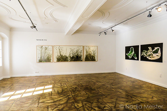 Ausstellungshaus Spoerri_(c)_Nadja Meister_IMG_6712