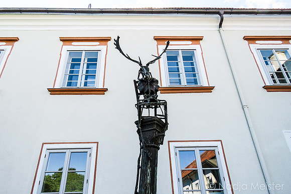 Ausstellungshaus Spoerri_(c)_Nadja Meister_IMG_6722
