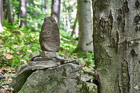 Wanderung Schöpfl_(c)_Nadja Meister_IMG_9375