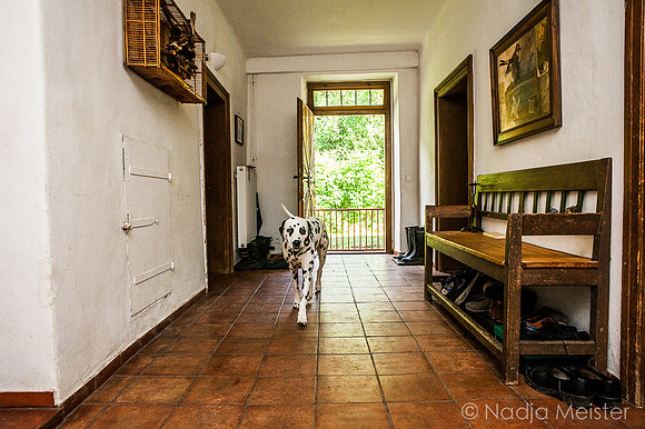 Unterpfinnigsteigmühle_(c)_Nadja Meister_IMG_5829