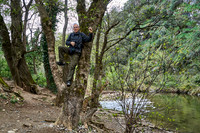 Frejo_(c)_Nadja Meister_DSC04539
